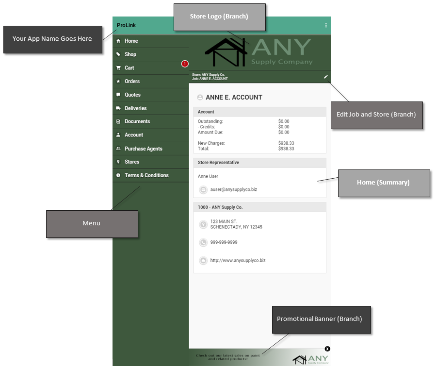 ProLink_Home_Diagram