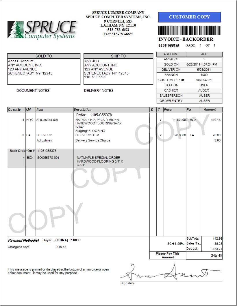 Point of Sale Invoice - Backorder Style